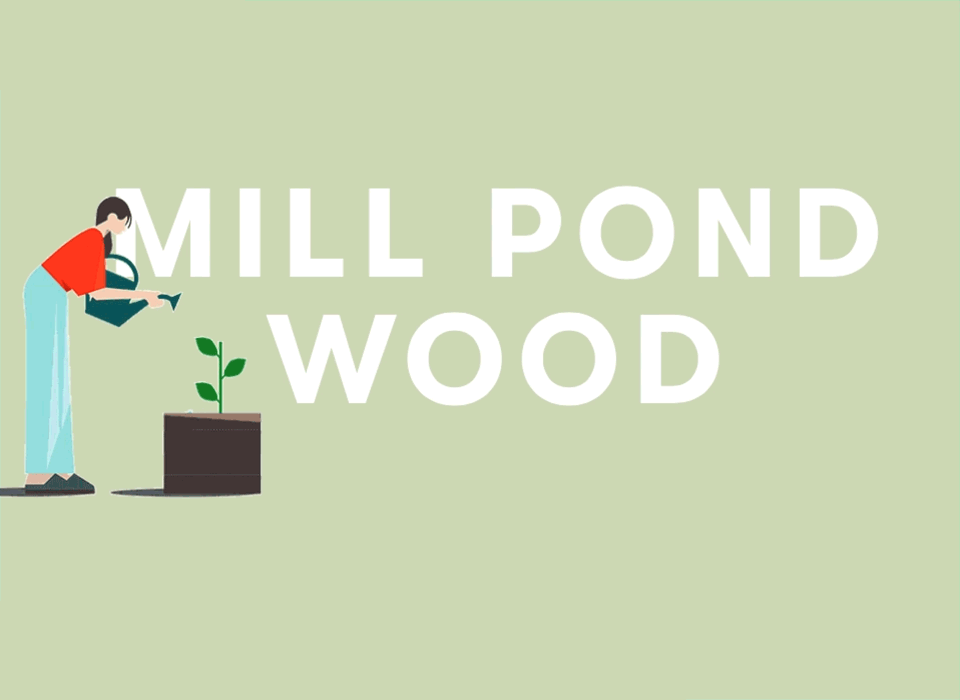 Melanie Bartheidel Graphic Designer | East London